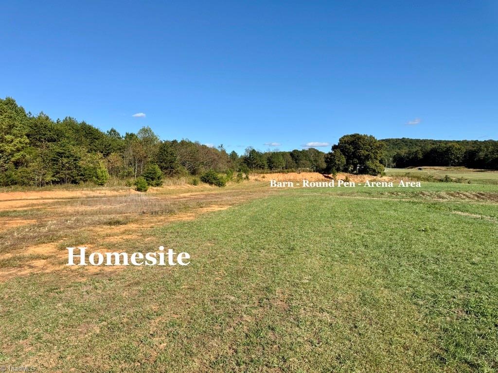 481 Ellis Hardy Road 22.3 Ac