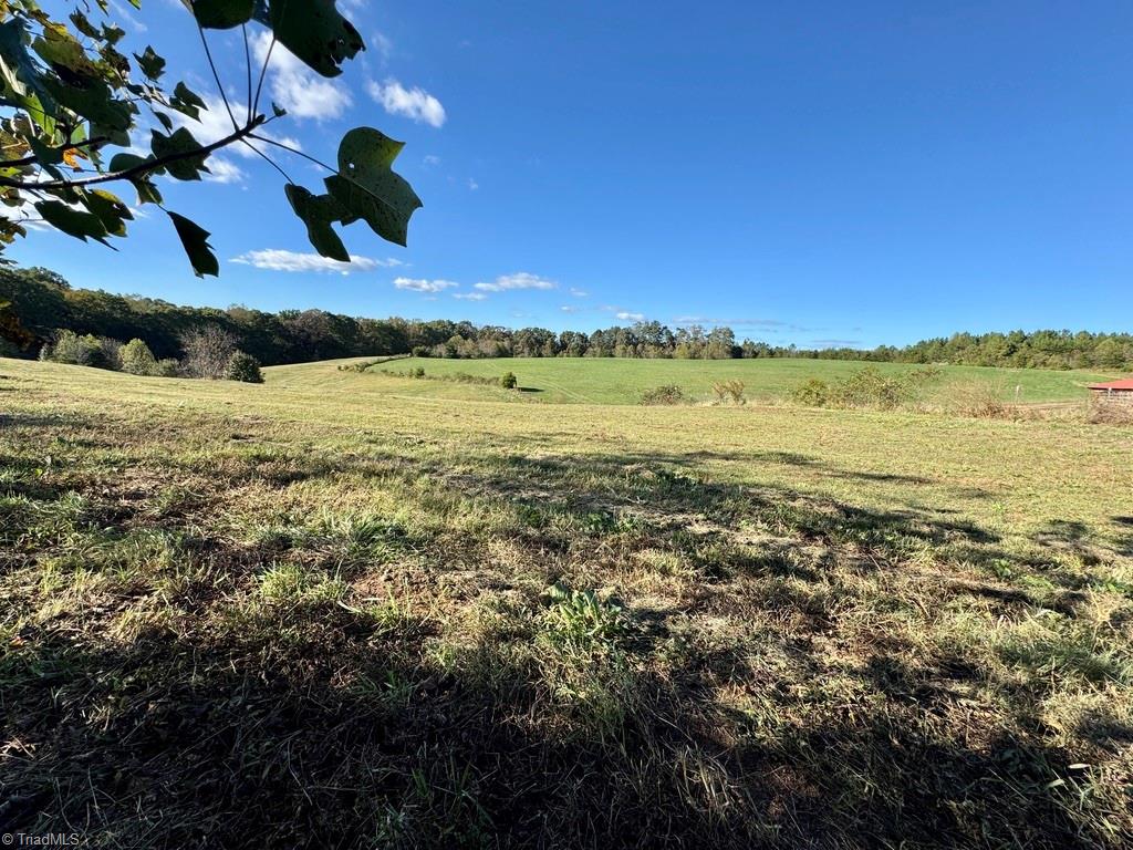 481 Ellis Hardy Road 22.3 Ac