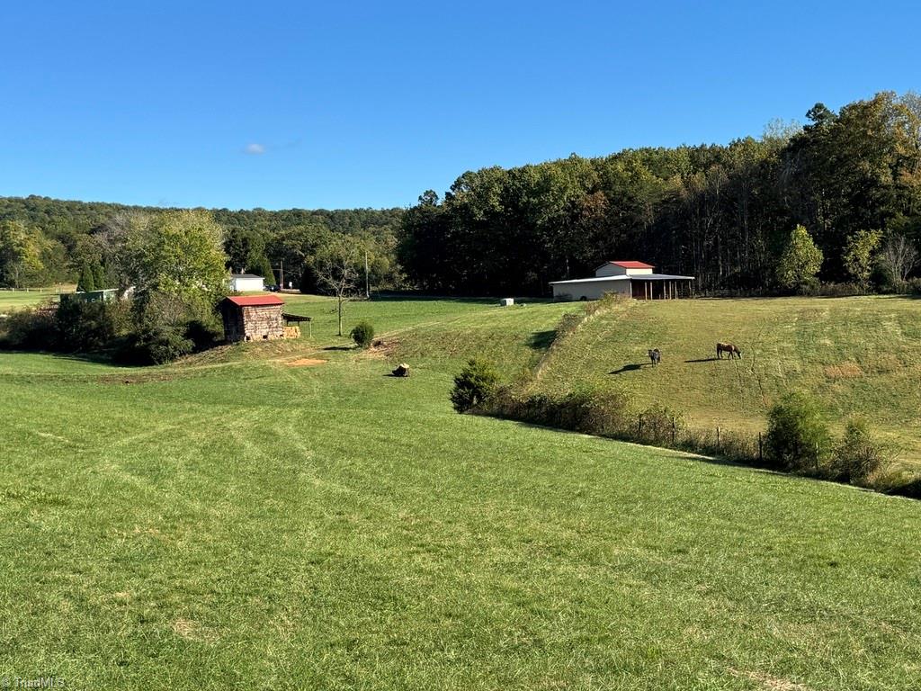 481 Ellis Hardy Road 22.3 Ac