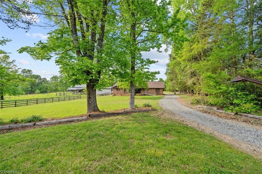 7116 Bethlehem Church Road, Climax, North Carolina image 5