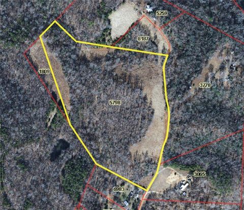 Vacant Land For Sale - 19.25+/- AC Pork Trail<br/> Surry County, Pinnacle, NC 27043