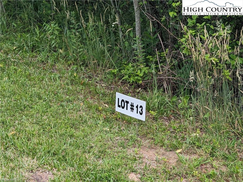 Lot 13 Briarwood Lane, Sparta, North Carolina image 2