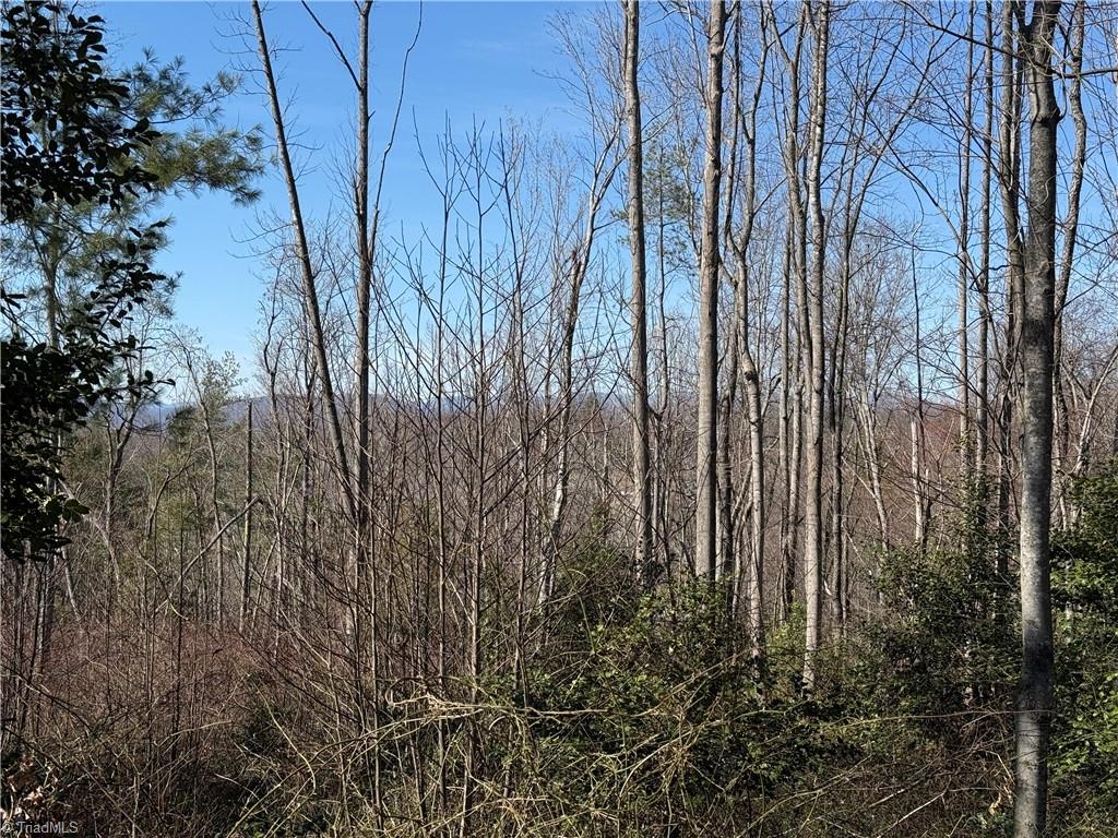 00 Mckinley Road, Roaring River, North Carolina image 7