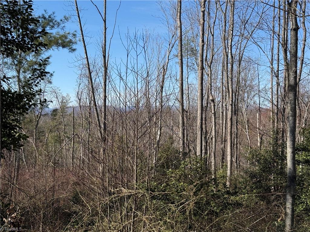 00 Mckinley Road, Roaring River, North Carolina image 8