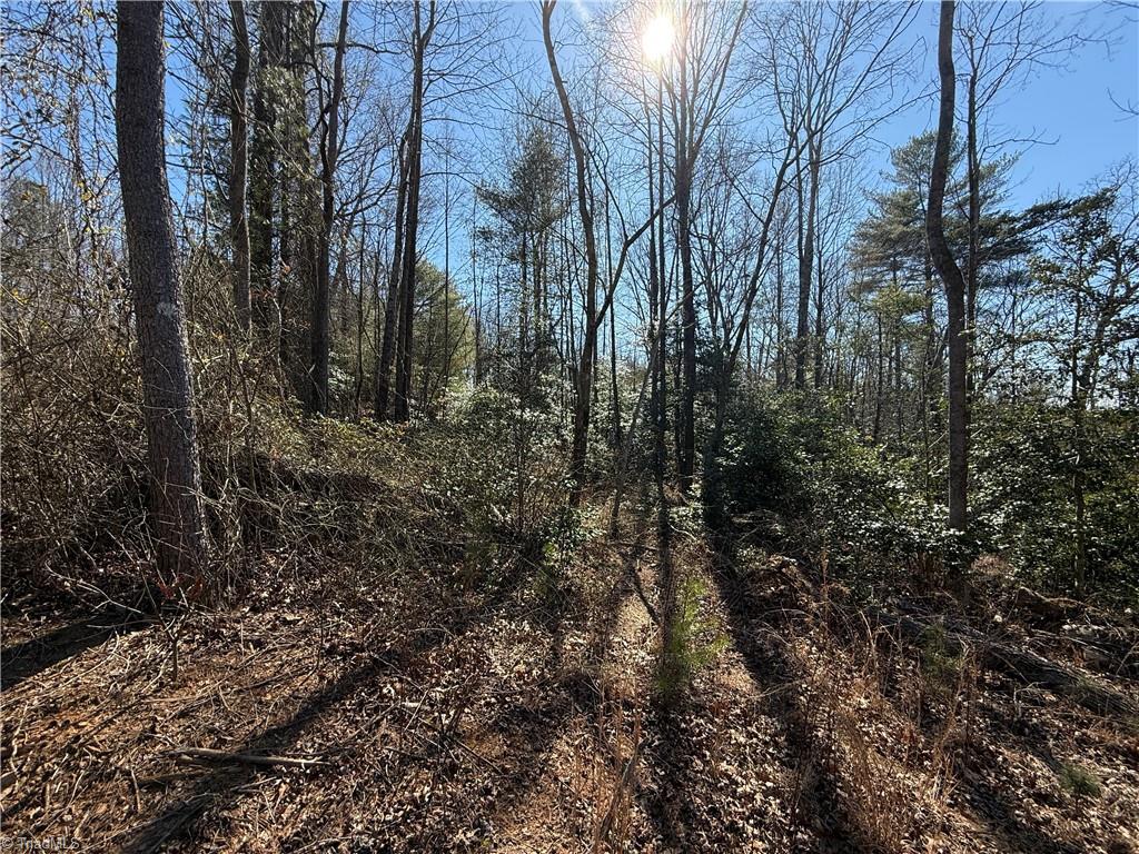 00 Mckinley Road, Roaring River, North Carolina image 5