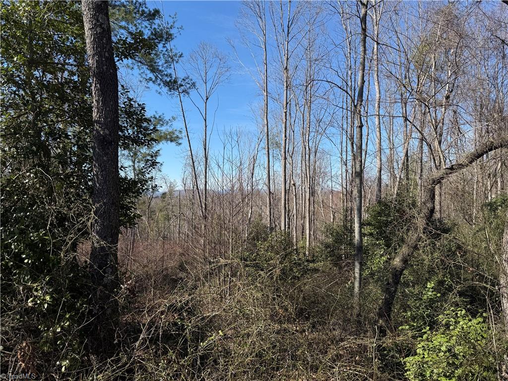 00 Mckinley Road, Roaring River, North Carolina image 6