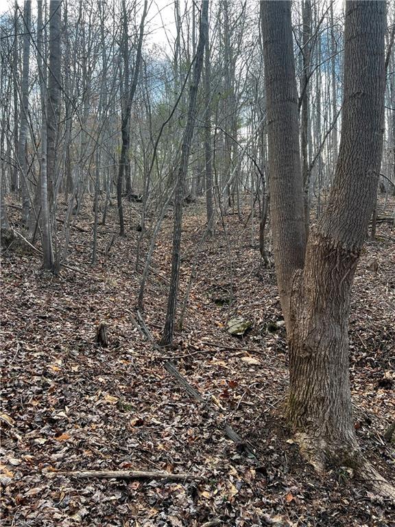 Claybrook Road, Stoneville, North Carolina image 5