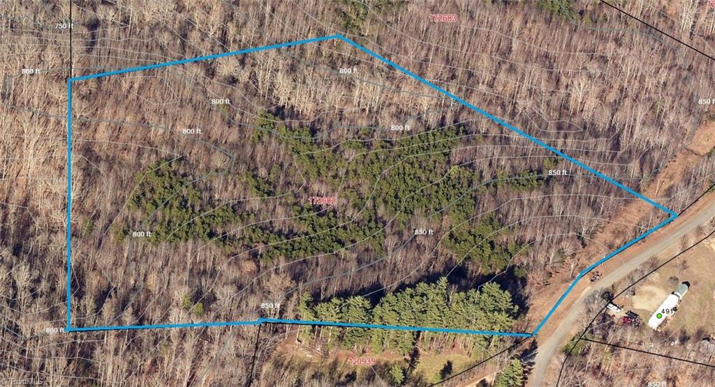Claybrook Road, Stoneville, North Carolina image 3