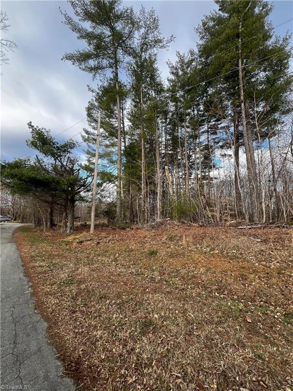 Claybrook Road, Stoneville, North Carolina image 4