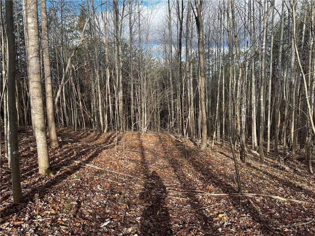 Claybrook Road, Stoneville, North Carolina image 8