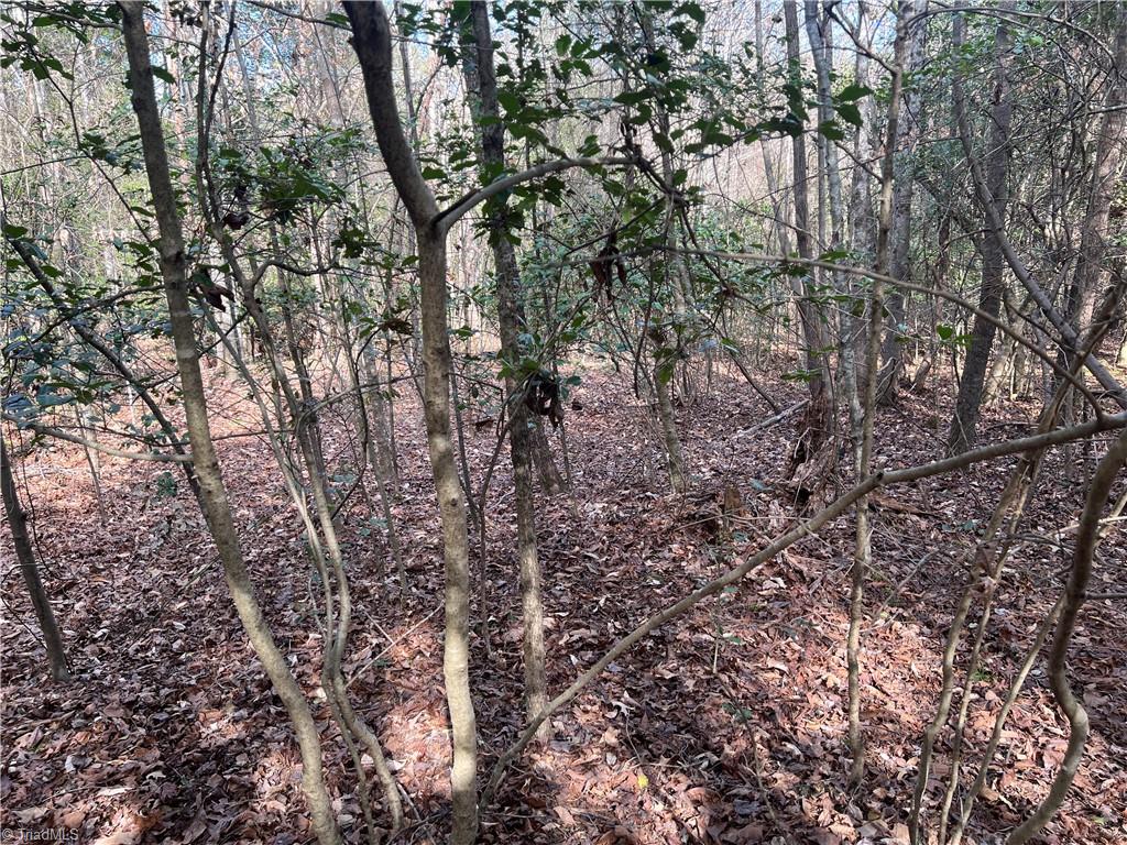 Lot 29 Chase Lane, Millers Creek, North Carolina image 4