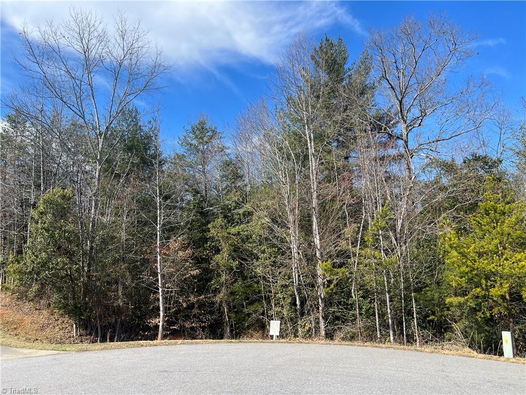 Lot 29 Chase Lane, Millers Creek, North Carolina image 1
