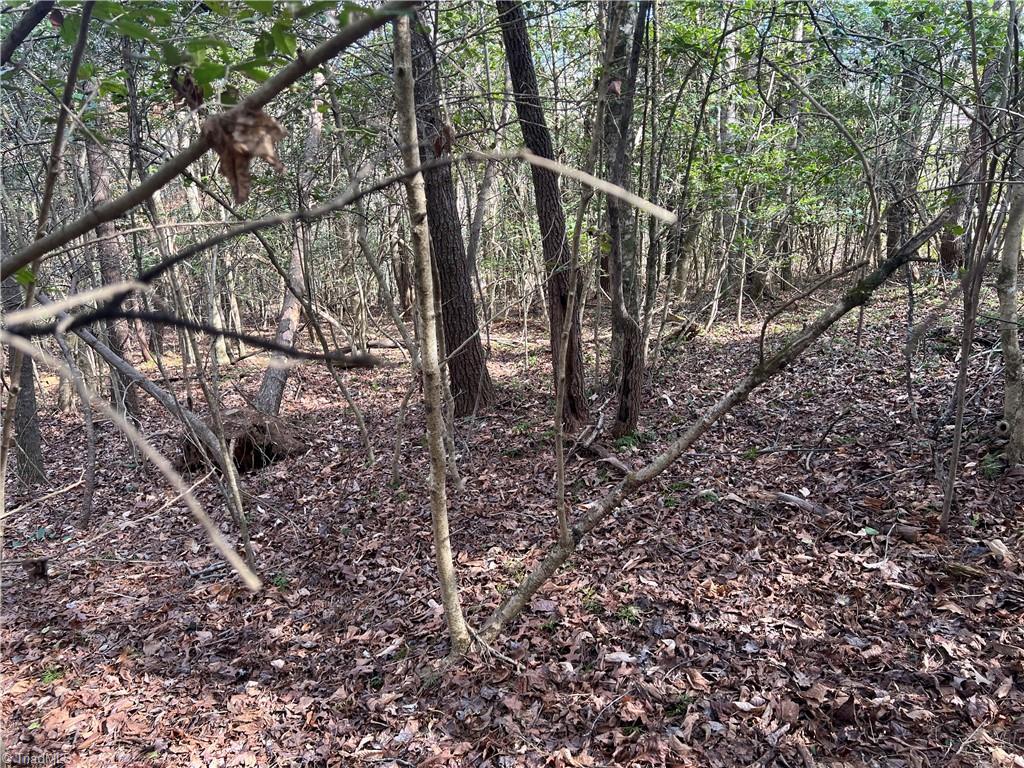 Lot 29 Chase Lane, Millers Creek, North Carolina image 5