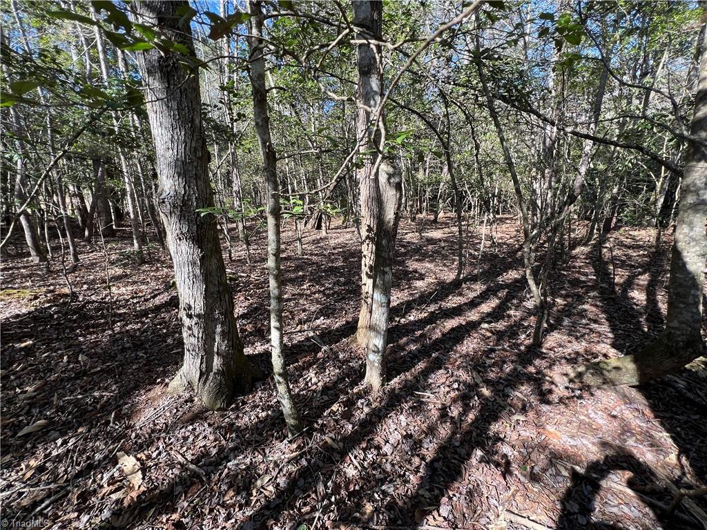 Lot 29 Chase Lane, Millers Creek, North Carolina image 6