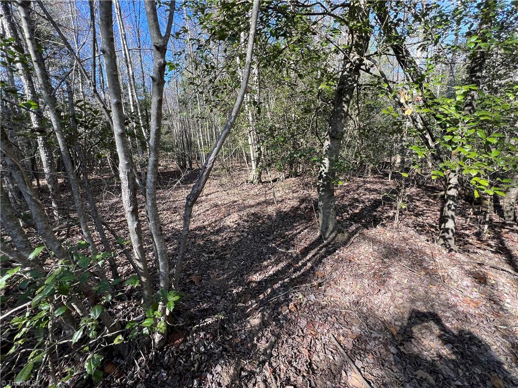 Lot 29 Chase Lane, Millers Creek, North Carolina image 8
