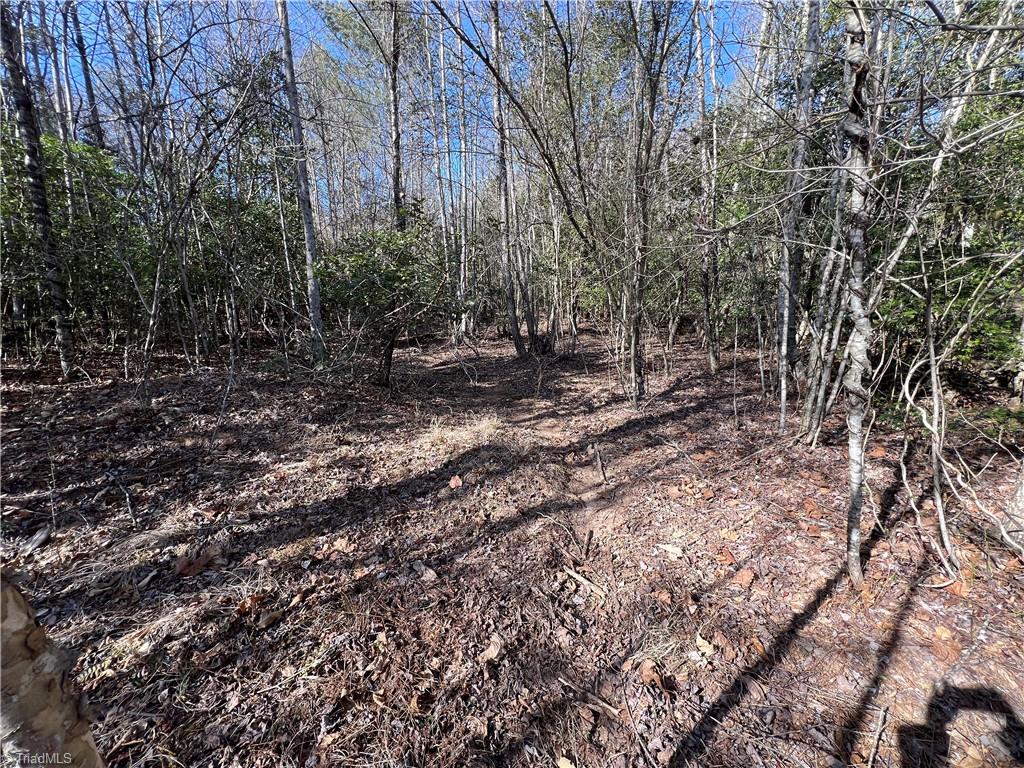 Lot 29 Chase Lane, Millers Creek, North Carolina image 9
