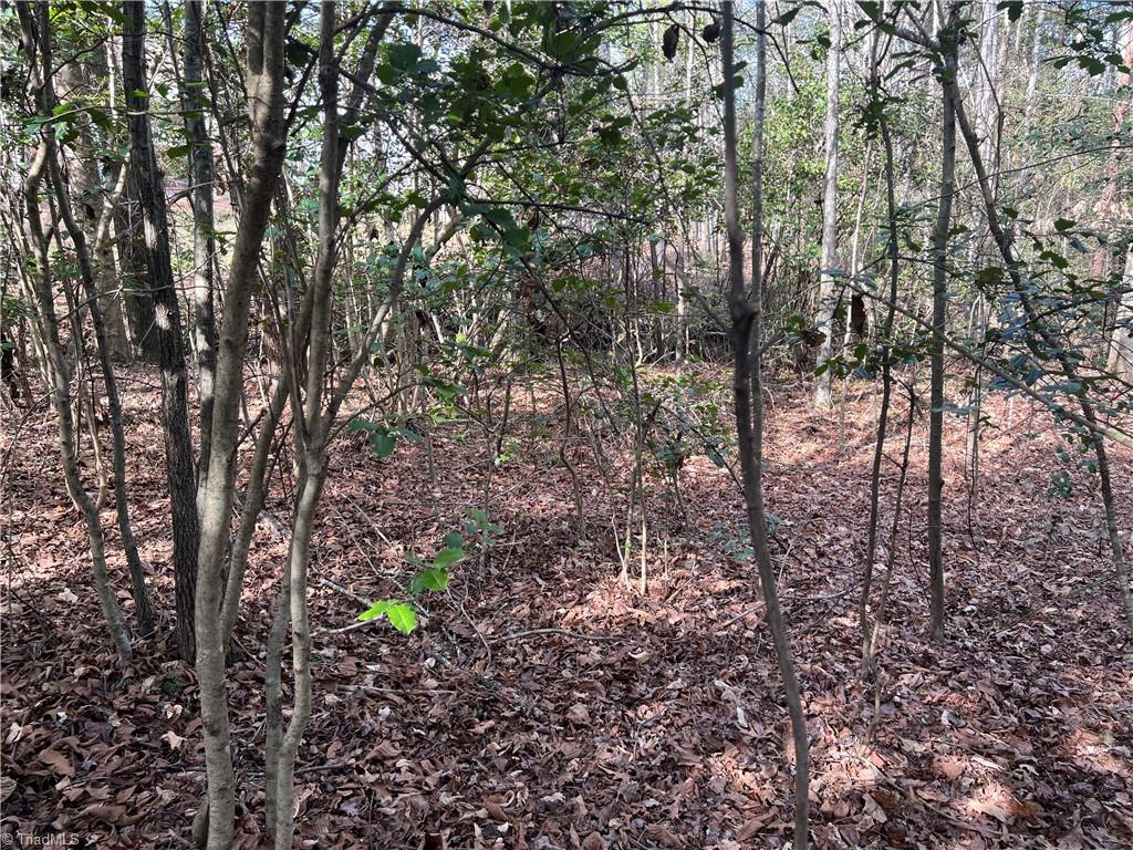 Lot 29 Chase Lane, Millers Creek, North Carolina image 3