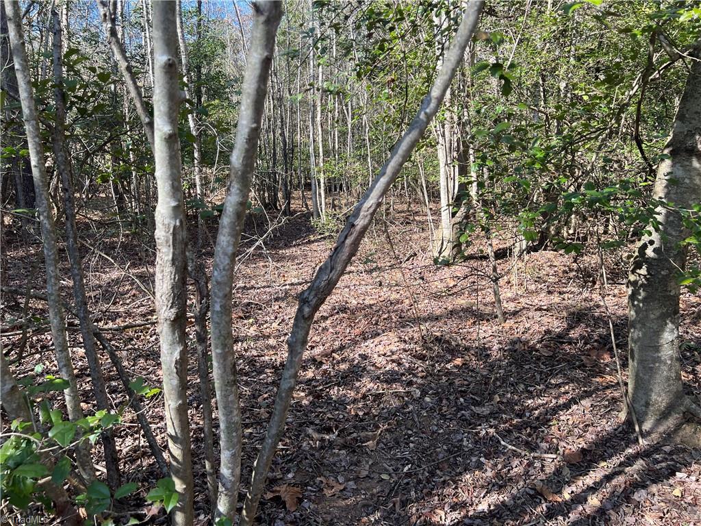 Lot 29 Chase Lane, Millers Creek, North Carolina image 7