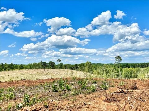 Unimproved Land in Lexington NC 00 Wright Road.jpg