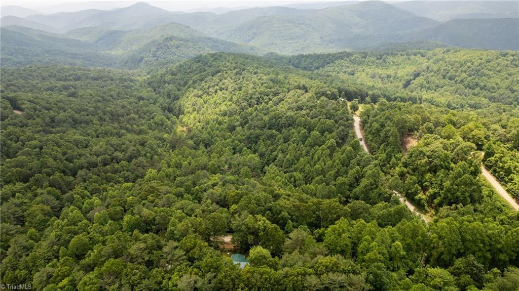 5928 Sheets Gap Road, Millers Creek, North Carolina image 34