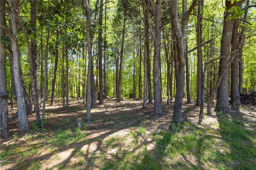 5210 Nc Highway 150, Browns Summit, North Carolina image 34