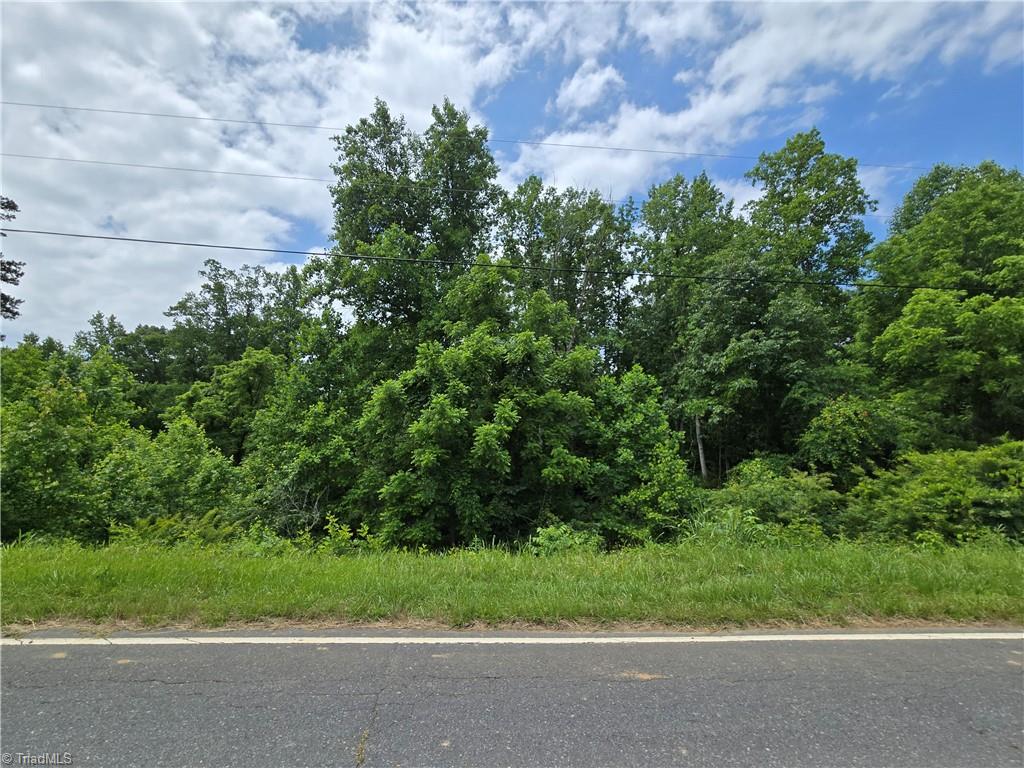Charlie Harris Road, Trinity, North Carolina image 10