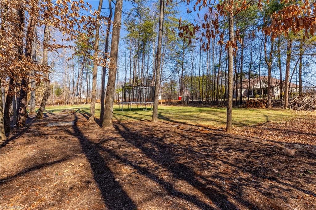 6405 Cape Wedgewood Circle, Browns Summit, North Carolina image 17