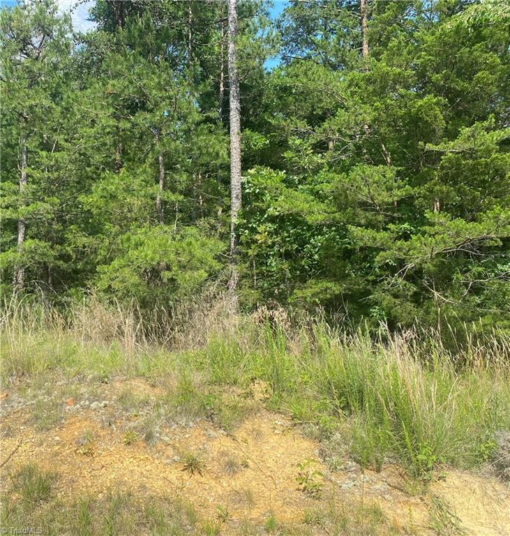 2760 Sweetbriar Road, Sophia, North Carolina image 2