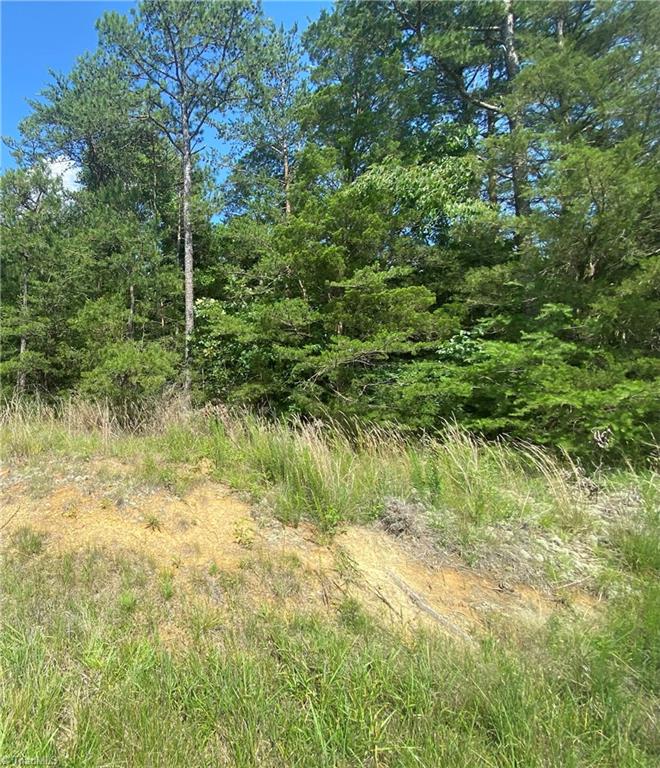 2760 Sweetbriar Road, Sophia, North Carolina image 1