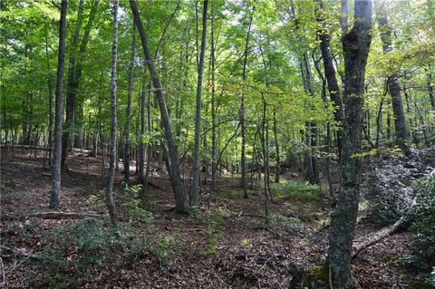 Vacant Land For Sale - TRACT E Hanging Rock Forest Road #TRACT E<br/> Danbury, NC 27016
