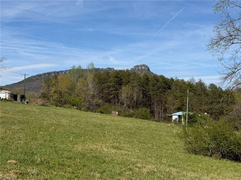 Vacant Land For Sale - 3.04 Ayers Road<br/> Surry County, Pinnacle, NC 27043