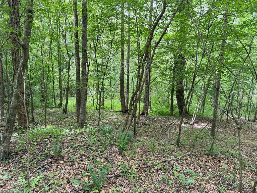 1201 Purcell Road, Reidsville, North Carolina image 3