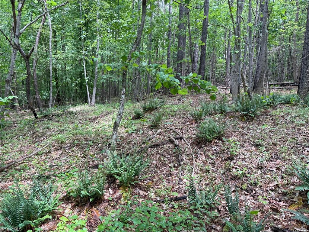 1201 Purcell Road, Reidsville, North Carolina image 14