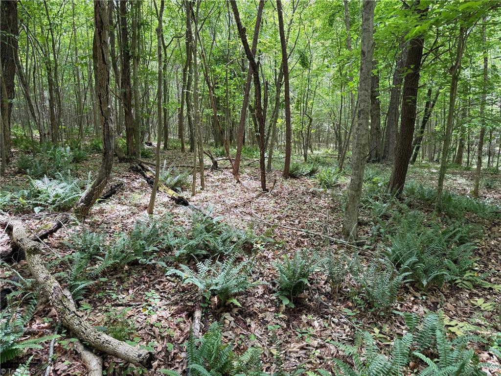 1201 Purcell Road, Reidsville, North Carolina image 2