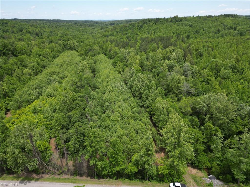 1201 Purcell Road, Reidsville, North Carolina image 29