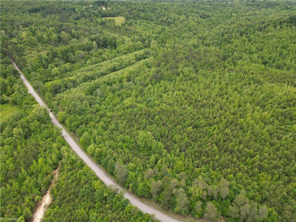 1201 Purcell Road, Reidsville, North Carolina image 28