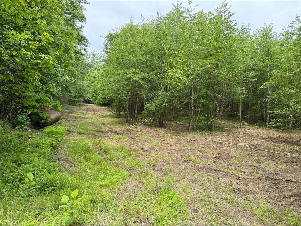 1201 Purcell Road, Reidsville, North Carolina image 16