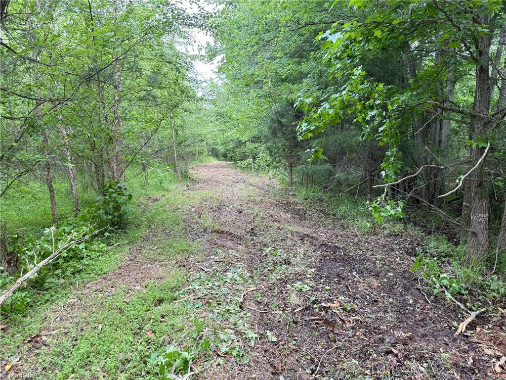 1201 Purcell Road, Reidsville, North Carolina image 6