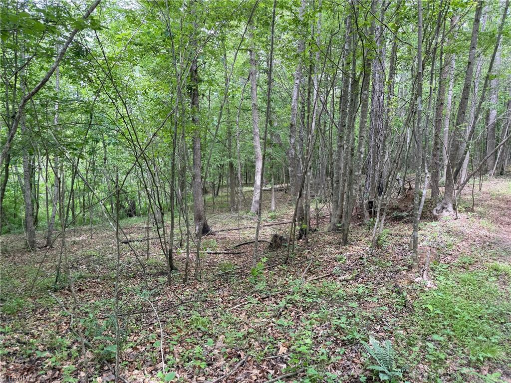 1201 Purcell Road, Reidsville, North Carolina image 8