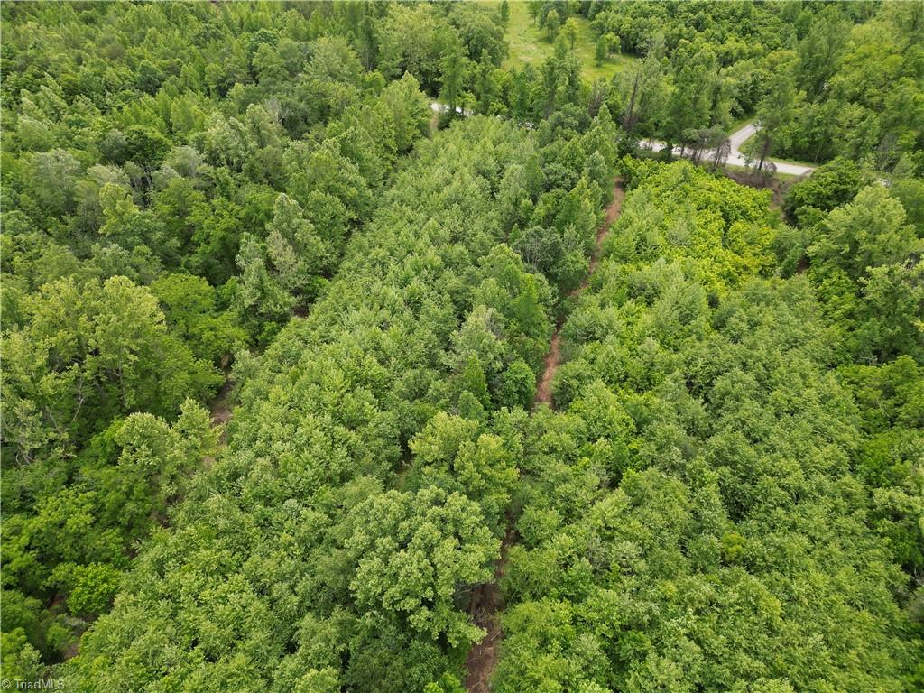1201 Purcell Road, Reidsville, North Carolina image 23
