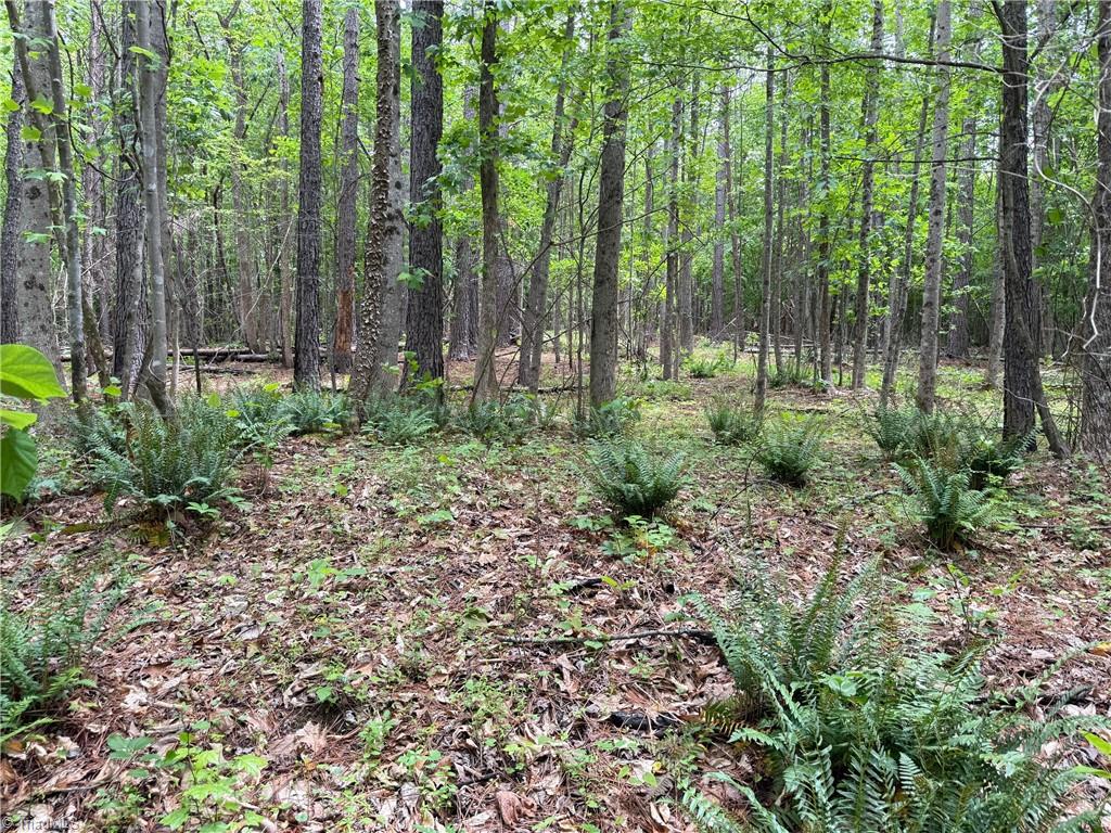 1201 Purcell Road, Reidsville, North Carolina image 1