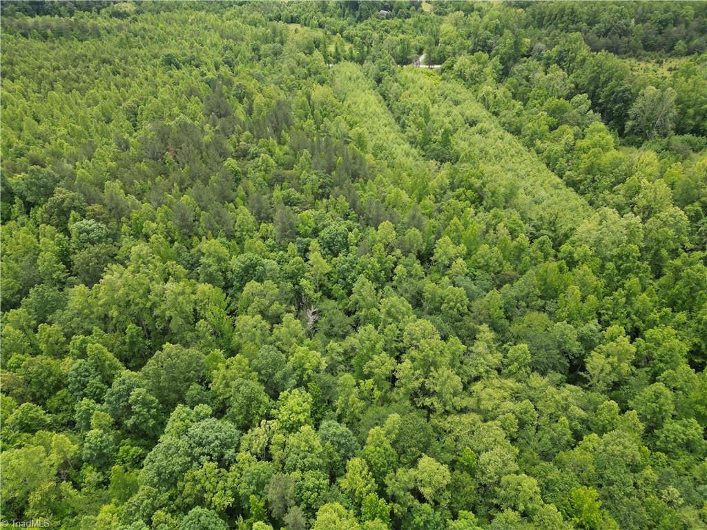 1201 Purcell Road, Reidsville, North Carolina image 25