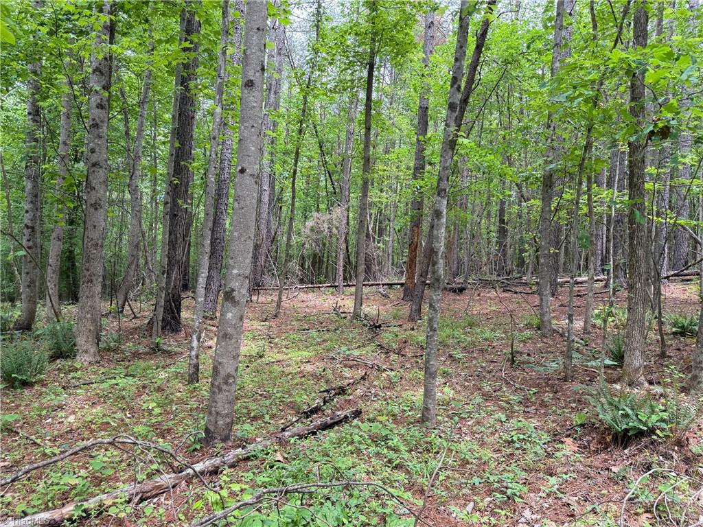1201 Purcell Road, Reidsville, North Carolina image 15