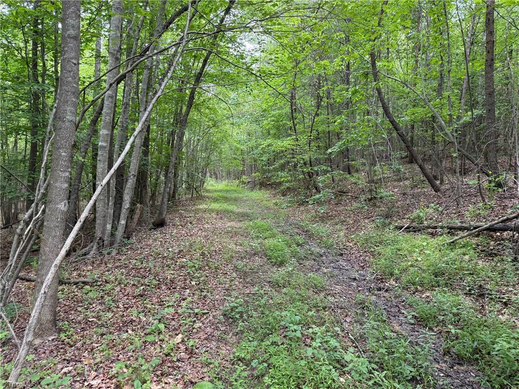 1201 Purcell Road, Reidsville, North Carolina image 4