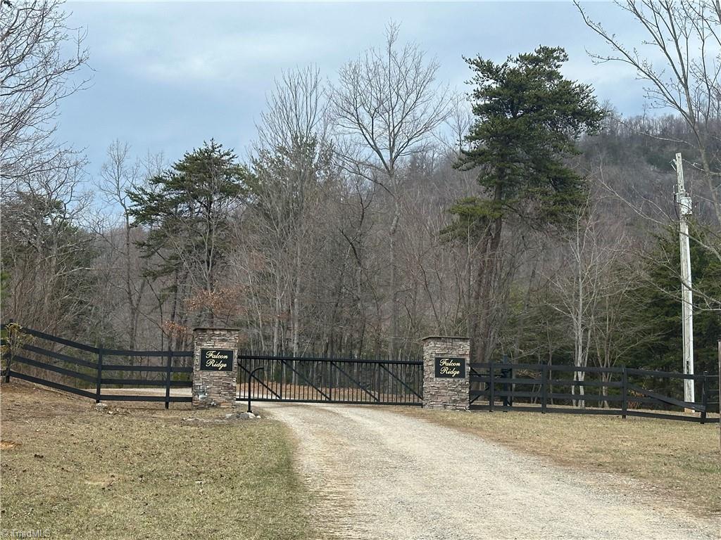 TBD Falcon Ridge Drive, Moravian Falls, North Carolina image 2
