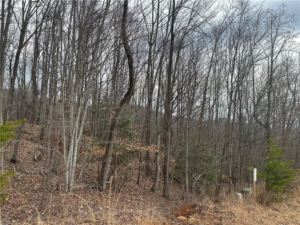 TBD Falcon Ridge Drive, Moravian Falls, North Carolina image 5