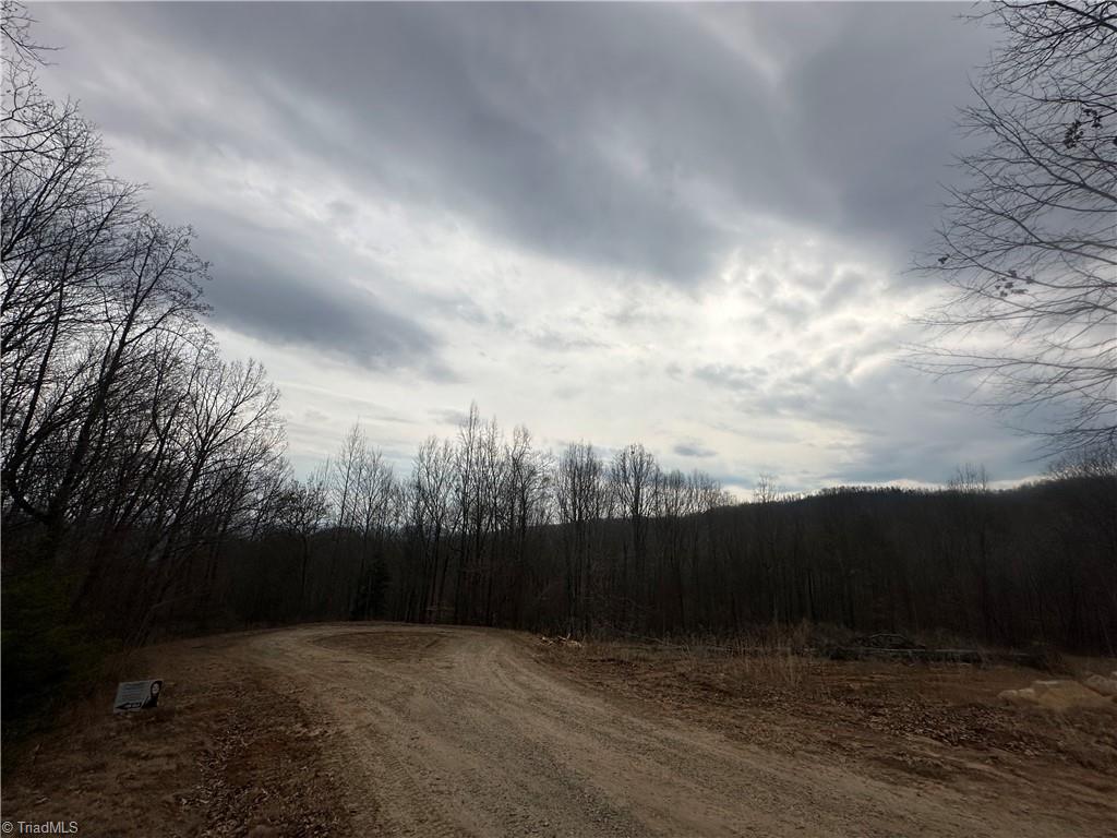 TBD Falcon Ridge Drive, Moravian Falls, North Carolina image 4