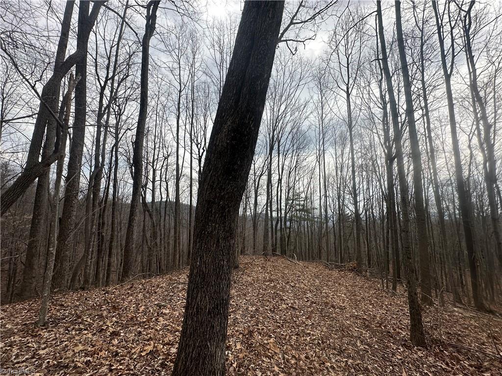 TBD Falcon Ridge Drive, Moravian Falls, North Carolina image 7