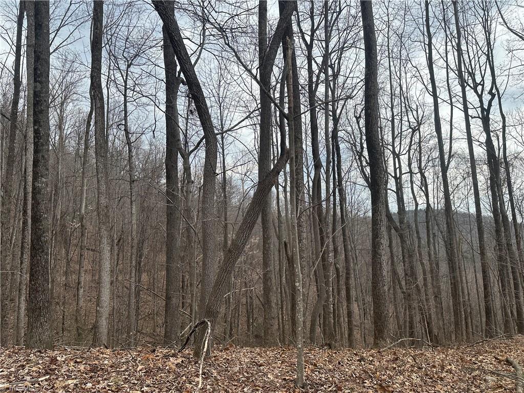 TBD Falcon Ridge Drive, Moravian Falls, North Carolina image 9