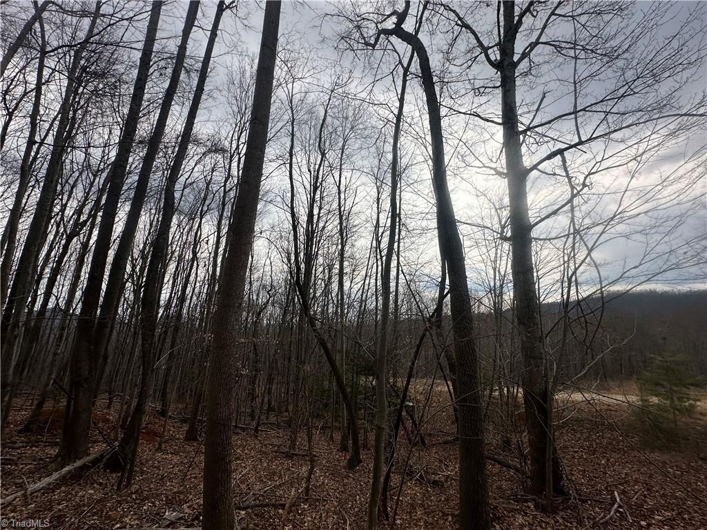 TBD Falcon Ridge Drive, Moravian Falls, North Carolina image 11